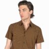 Black and brown striped, short sleeve button up shirt.